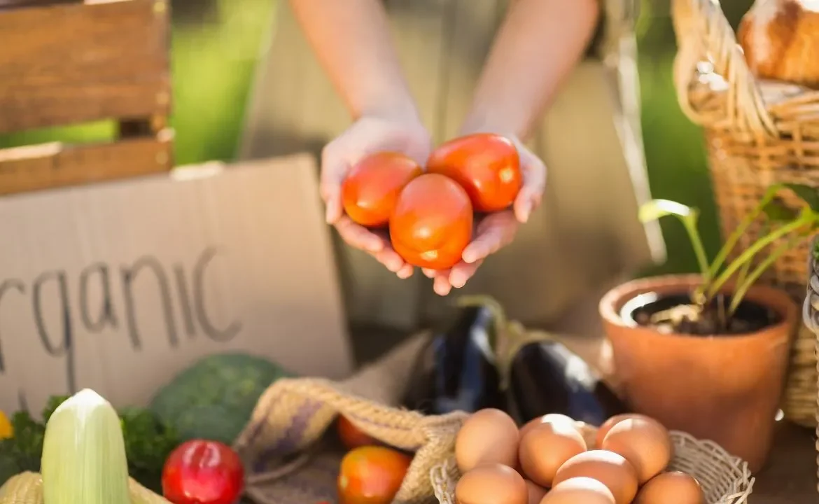 najlepsze opakowania dla produktów organicznych