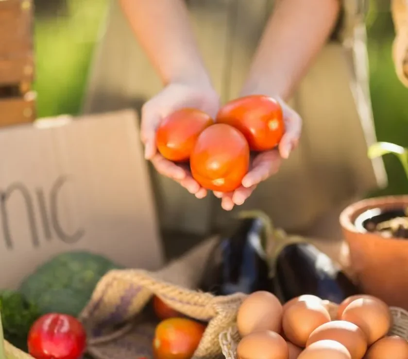 najlepsze opakowania dla produktów organicznych